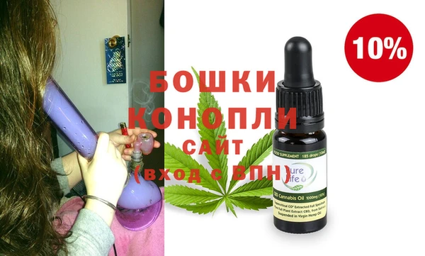 PSILOCYBIN Алзамай