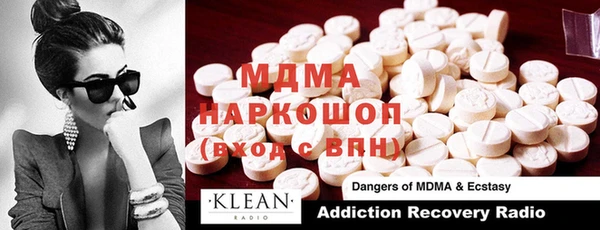 PSILOCYBIN Алзамай